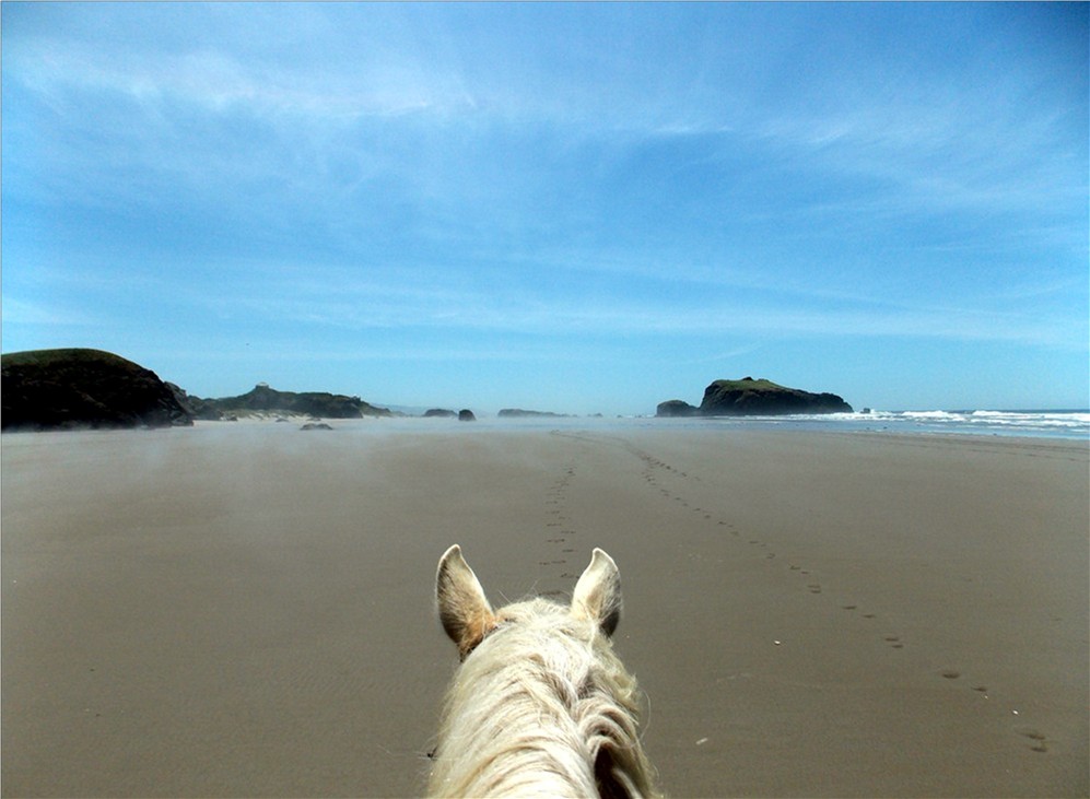 Bandon Beach Riding Stables